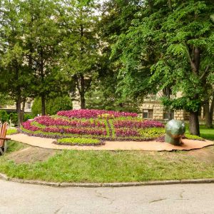 Цветочная черепаха в санатории Орджоникидзе в городе Кисловодске - фотография
