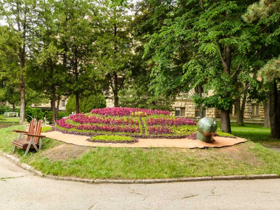 Цветочная черепаха в санатории Орджоникидзе в городе Кисловодске - фотография