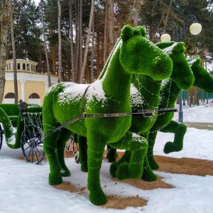 Зеленые скульптуры (Топиарии) в санатории Орджоникидзе в городе Кисловодске - фотография