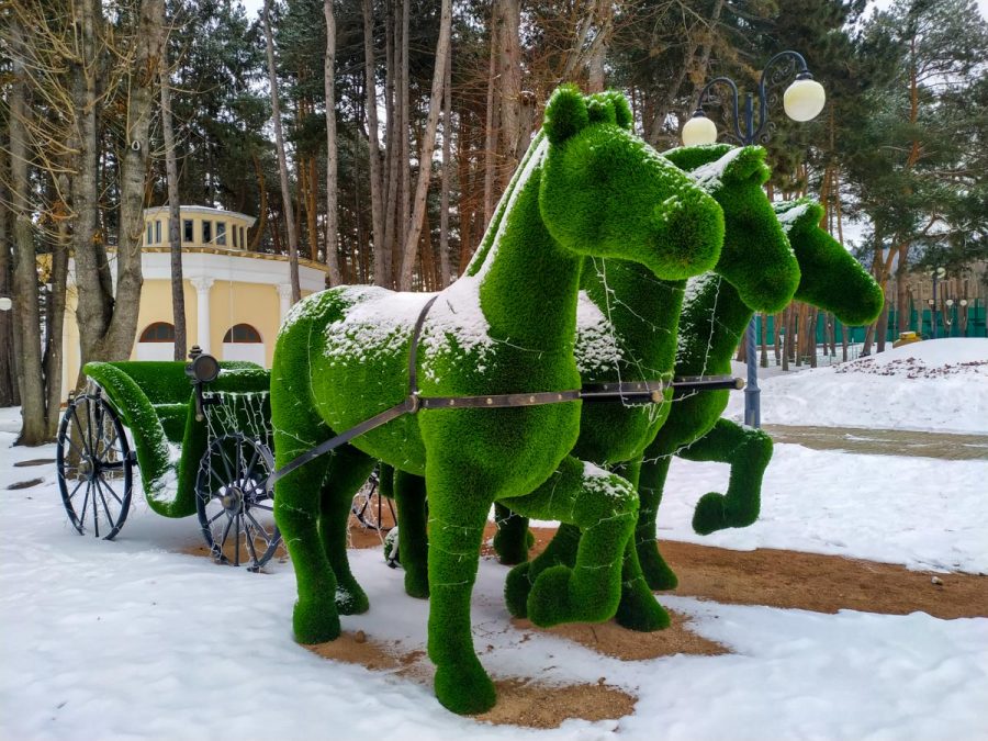Зеленые скульптуры (Топиарии) в санатории Орджоникидзе в городе Кисловодске - фотография