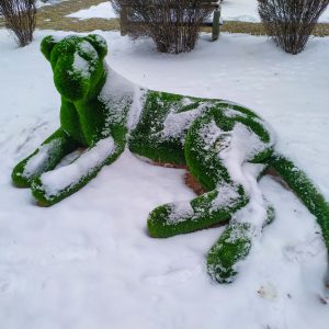 Зеленые скульптуры (Топиарии) в санатории Орджоникидзе в городе Кисловодске - фотография