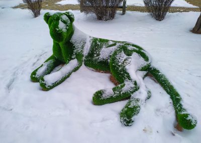 Зеленые скульптуры (Топиарии) в санатории Орджоникидзе в городе Кисловодске - фотография