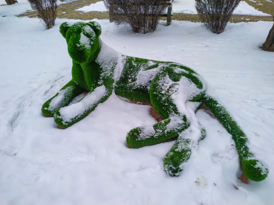 Зеленые скульптуры (Топиарии) в санатории Орджоникидзе в городе Кисловодске - фотография