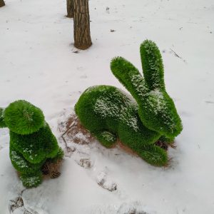 Зеленые скульптуры (Топиарии) в санатории Орджоникидзе в городе Кисловодске - фотография