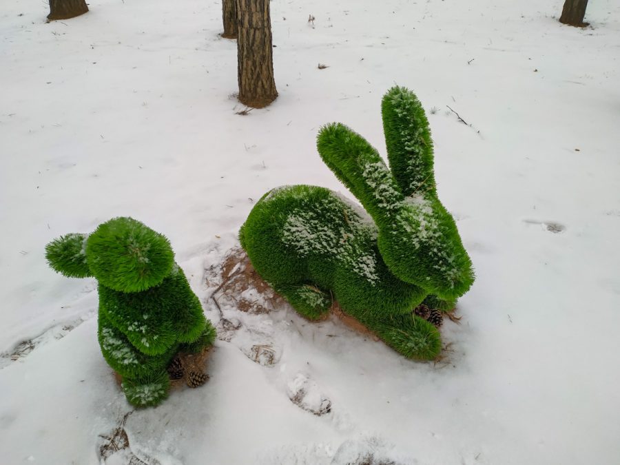 Зеленые скульптуры (Топиарии) в санатории Орджоникидзе в городе Кисловодске - фотография