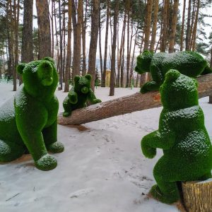 Зеленые скульптуры (Топиарии) в санатории Орджоникидзе в городе Кисловодске - фотография