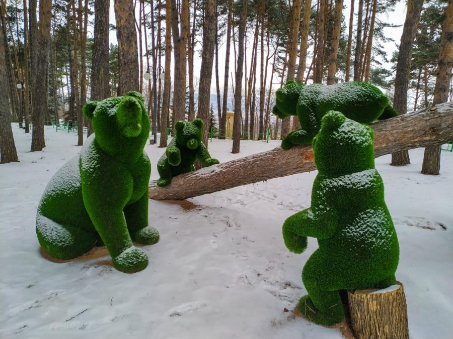Зеленые скульптуры (Топиарии) в санатории Орджоникидзе в городе Кисловодске - фотография