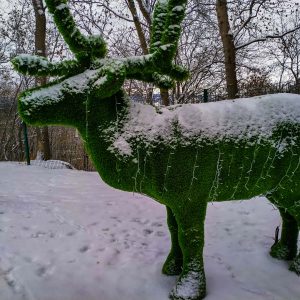 Зеленые скульптуры (Топиарии) в санатории Орджоникидзе в городе Кисловодске - фотография