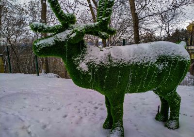 Зеленые скульптуры (Топиарии) в санатории Орджоникидзе в городе Кисловодске - фотография