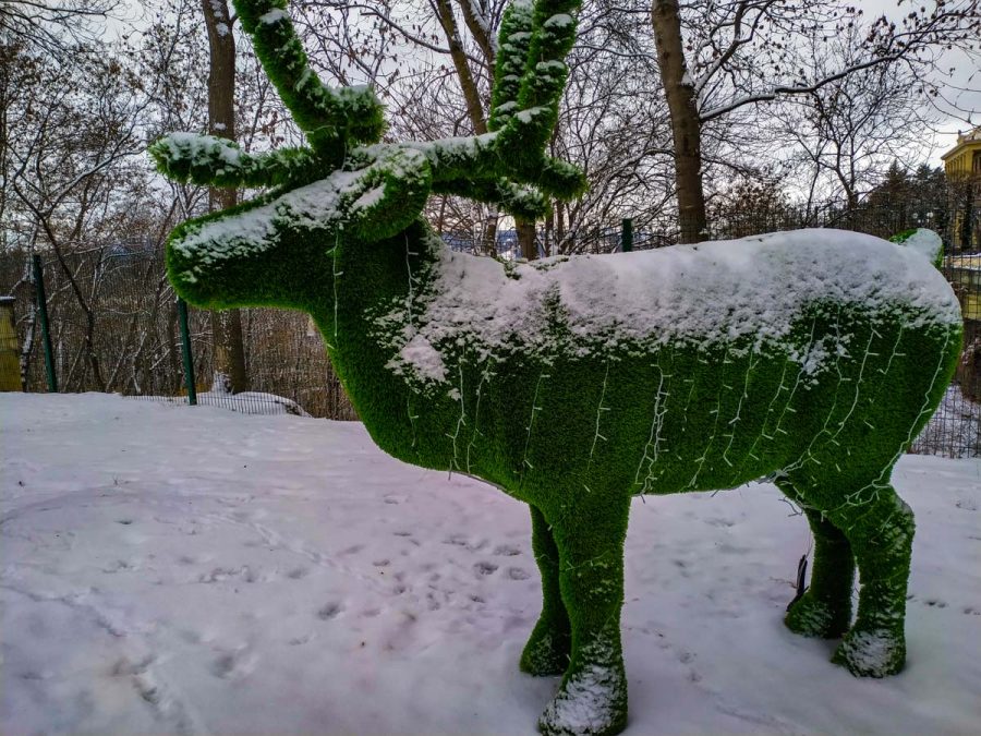 Зеленые скульптуры (Топиарии) в санатории Орджоникидзе в городе Кисловодске - фотография