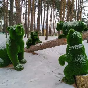 Зеленые скульптуры (Топиарии) в санатории Орджоникидзе в городе Кисловодске - фотография